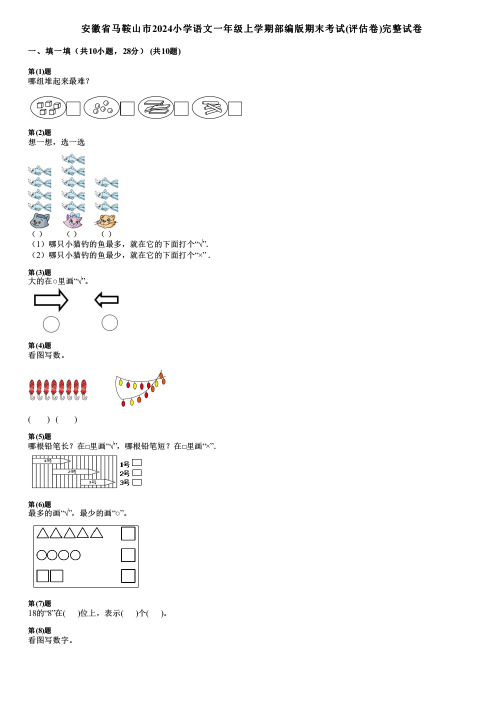 安徽省马鞍山市2024小学数学一年级上学期部编版期末考试(评估卷)完整试卷