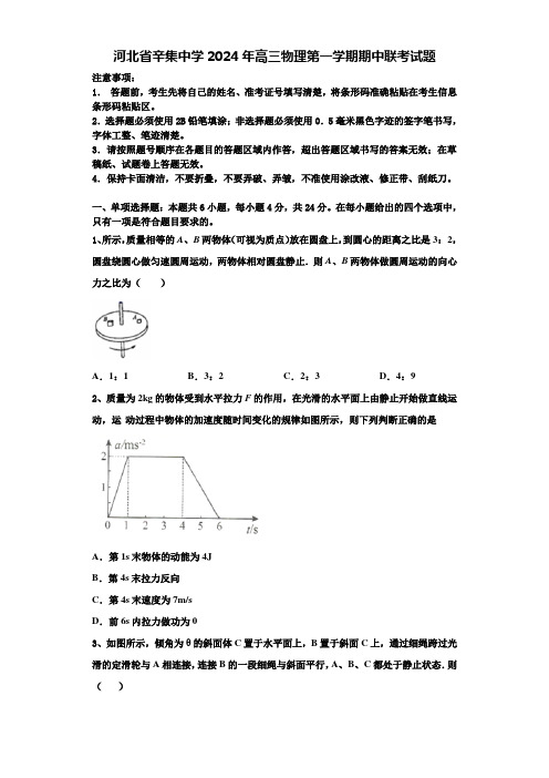 河北省辛集中学2024年高三物理第一学期期中联考试题含解析