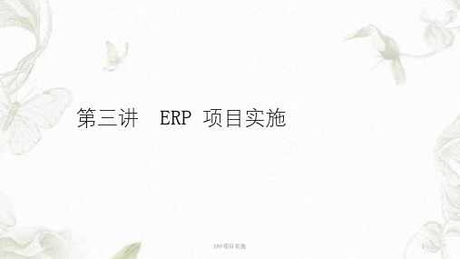 ERP项目实施ppt课件