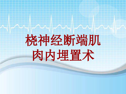 手术讲解模板：桡神经断端肌肉内埋置术