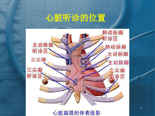 心脏听诊PPT医学课件