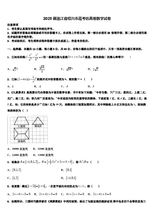 2025届浙江省绍兴市高考仿真卷数学试卷含解析