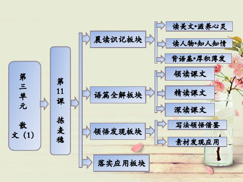 高中语文 第三单元 第11课 拣麦穗课件 粤教版必修1