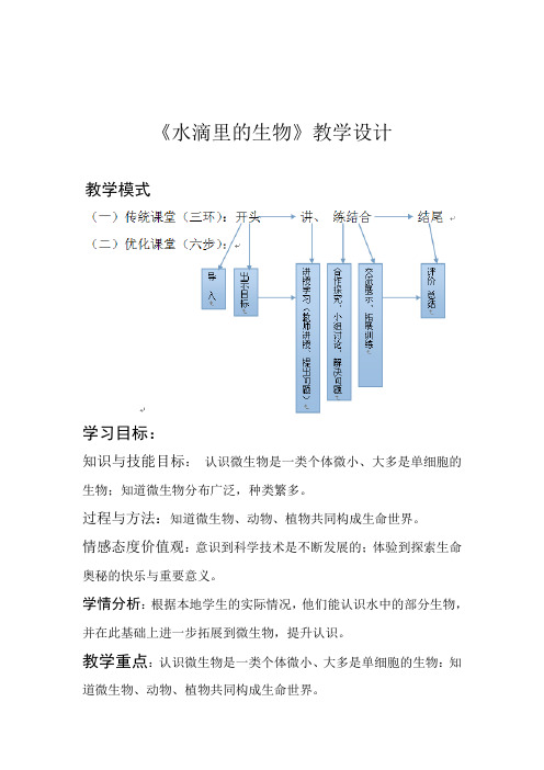 【精品】六年级上册科学教案-1.1 水滴里的生物｜苏教版