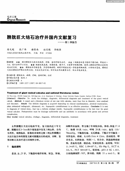 膀胱巨大结石治疗并国内文献复习——附1例报告