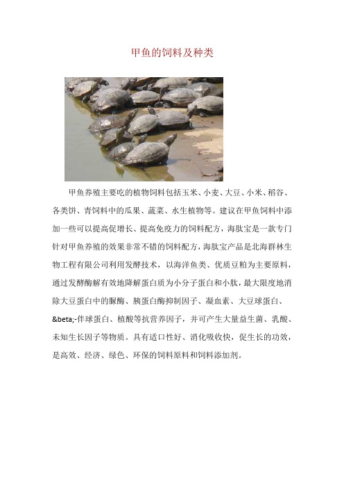 甲鱼的饲料及种类