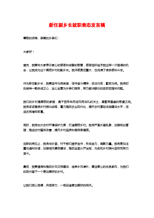 新任副乡长就职表态发言稿