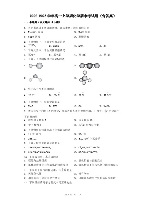 2022-2023学年高一上学期化学期末考试题(含答案)