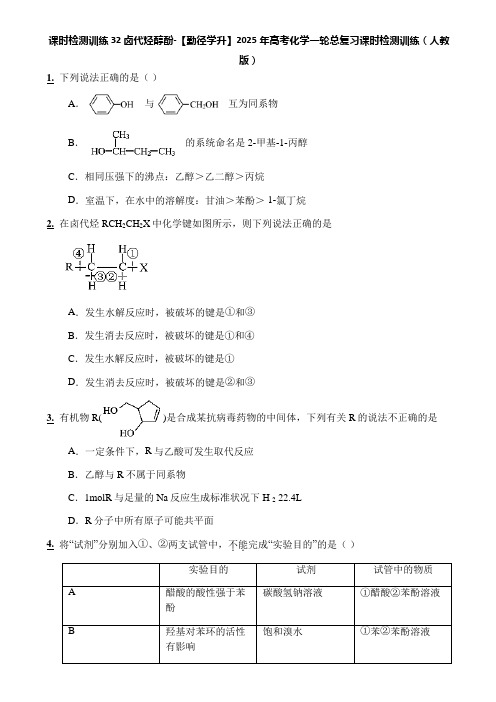 课时检测训练32 卤代烃醇酚-【勤径学升】2025年高考化学一轮总复习课时检测训练(人教版)