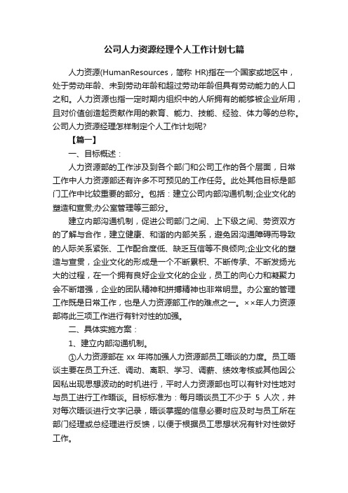 公司人力资源经理个人工作计划七篇