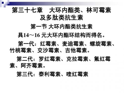 40大环、41氨基糖