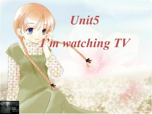 Unit5《I’m watching TV_Section A》课件4(22页)(人教版新课标七年级下)