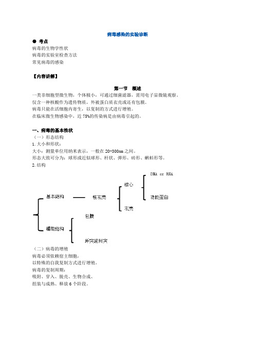 病毒感染的实验诊断