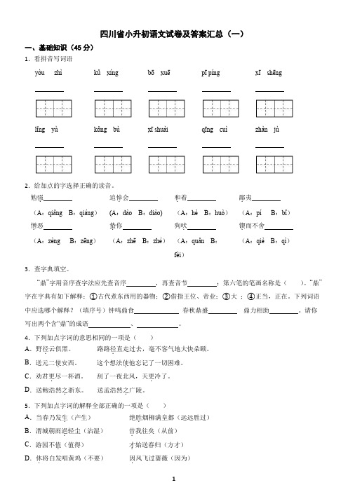 四川省小升初语文试卷及答案汇总(一)