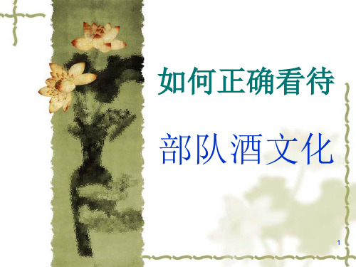 酗酒的危害ppt课件