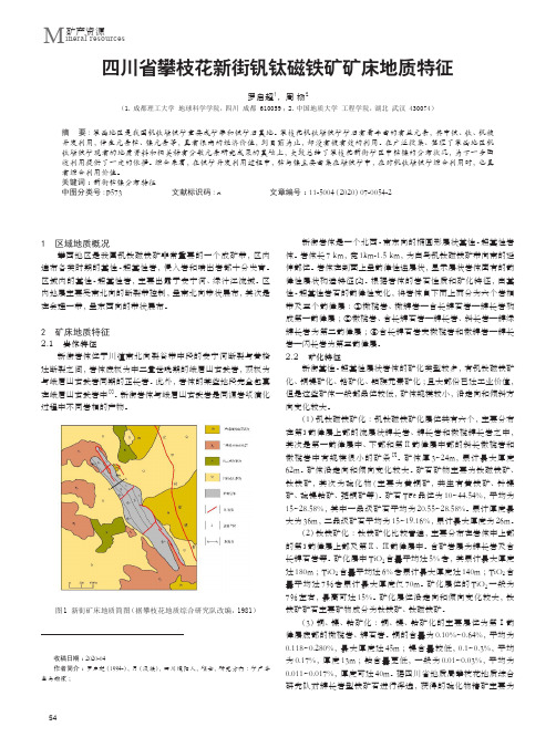 四川省攀枝花新街钒钛磁铁矿矿床地质特征