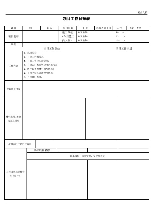 项目工作日报表模板