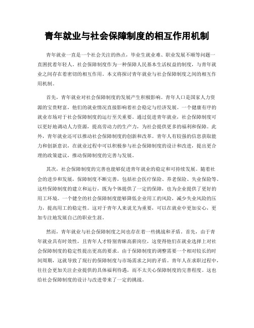 青年就业与社会保障制度的相互作用机制