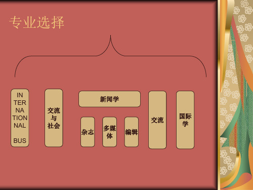 国际交流方面专业