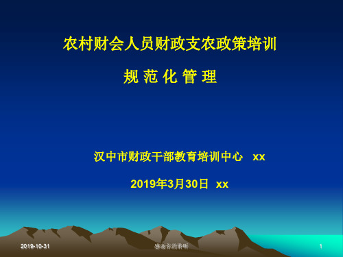 农村财会人员财政支农政策培训规范化管理模板.pptx