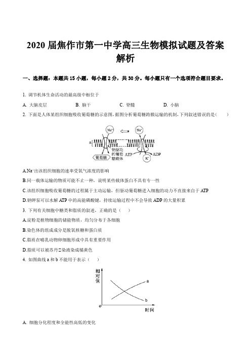 2020届焦作市第一中学高三生物模拟试题及答案解析