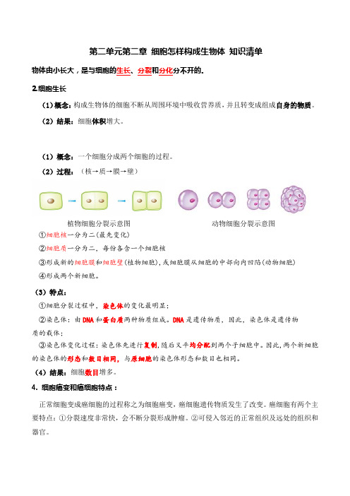 第二单元第二章细胞怎样构成生物体(知识清单)七年级生物上册系列(人教版)