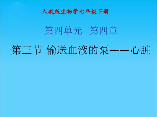 七年级生物下册 第四单元 第四章《人体内物质的运输》第三节《输送血液的泵——心脏》课件 新人教版