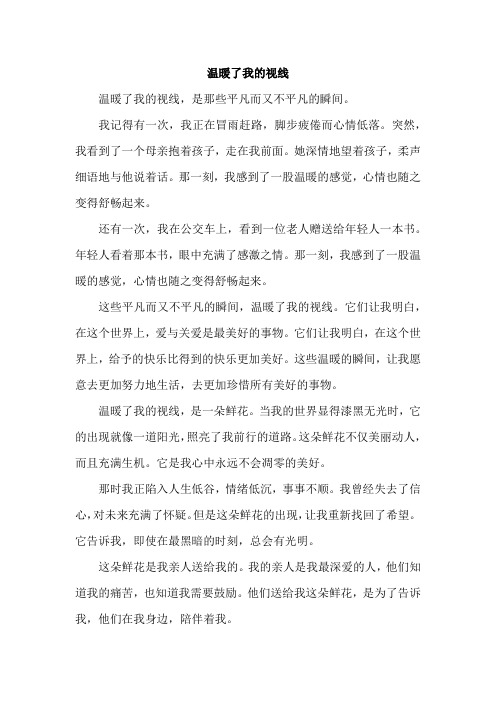 温暖了我的视线半命题作文600字