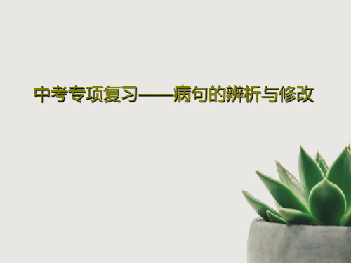 中考专项复习——病句的辨析与修改共80页文档