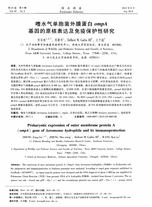 嗜水气单胞菌外膜蛋白ompA基因的原核表达及免疫保护性研究