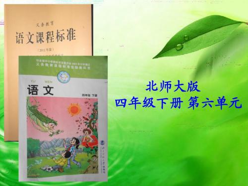 崔芙蓉说课标说教材 Microsoft PowerPoint 演示文稿