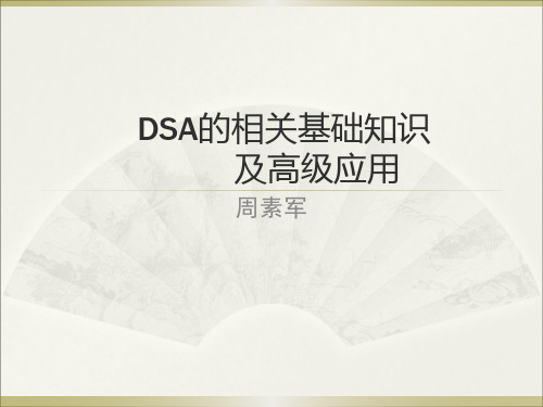 DSA的基本原理及高级运用