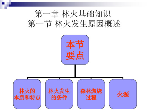 林火基础知识林火发生原因概述