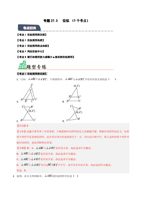 位似(5个考点)(题型专练+易错精练)(教师版) 2024-2025学年九年级数学下册(人教版)