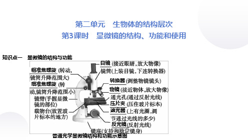 第3课时 显微镜的结构、功能和使用