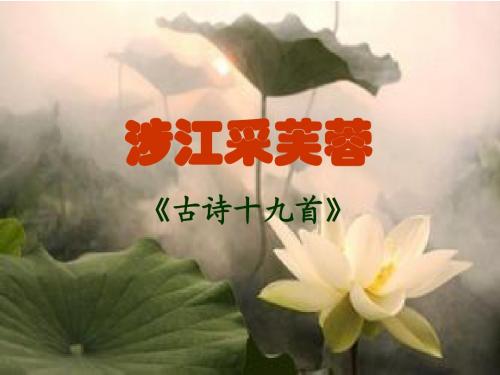 涉江采芙蓉(说课)