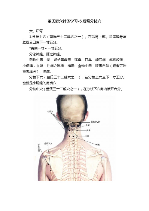 董氏奇穴针灸学习-6后背分枝穴