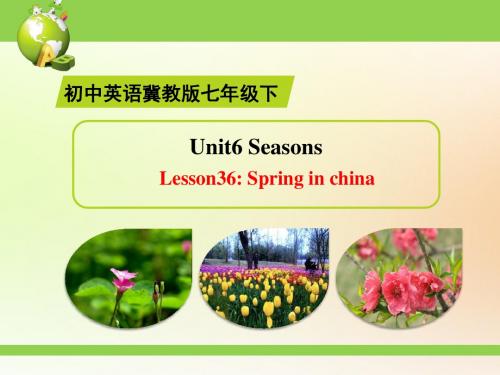 冀教版英语七下Unit 6《Lesson 36 Spring in China》ppt精品课件