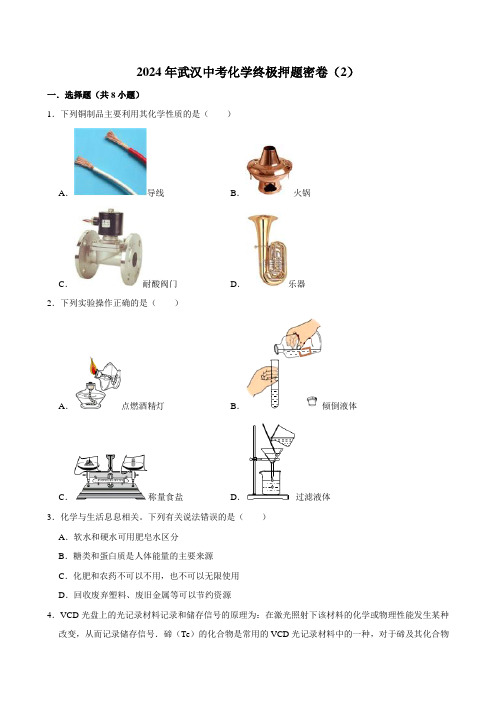 2024年武汉中考化学终极押题密卷(2)(含解析)