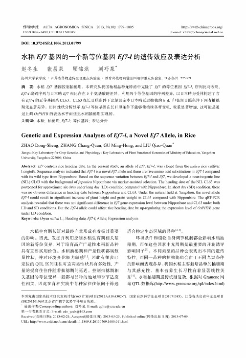 水稻Ef7基因的一个新等位基因Ef7-l的遗传效应及表达分析