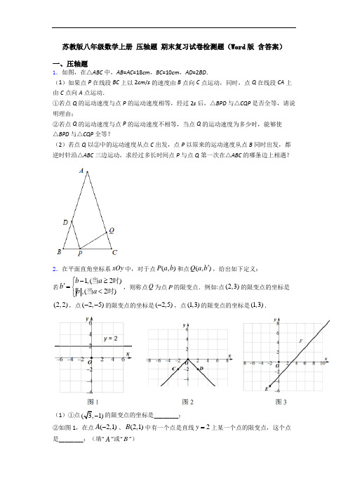 苏教版八年级数学上册 压轴题 期末复习试卷检测题(Word版 含答案)