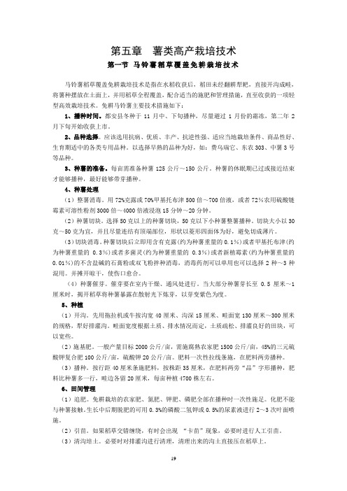 薯类