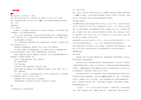 湖北省14市2020年中考语文 按考点分项解析版汇编 写作专题