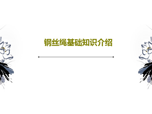钢丝绳基础知识介绍45页PPT