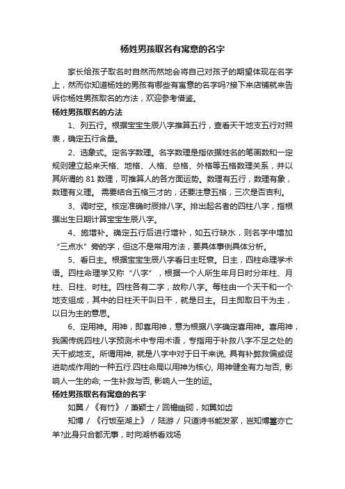 杨姓男孩取名有寓意的名字