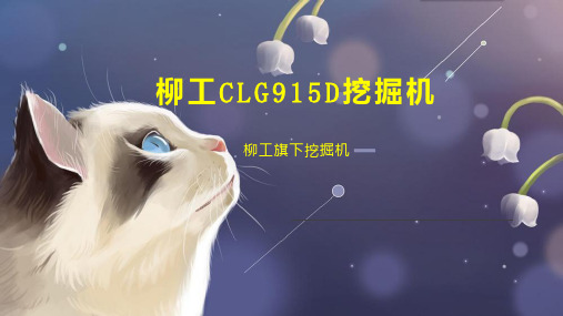 柳工CLG915D挖掘机