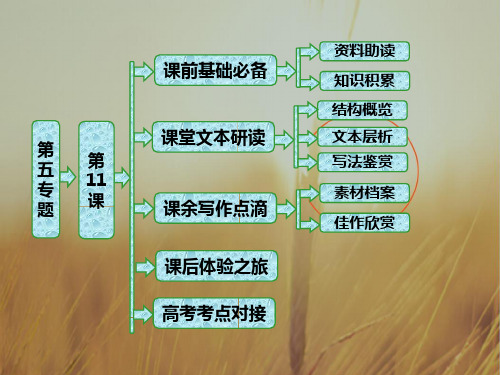 最新-2021学年高中语文选修传记选读课件：第五专题 第11课 苏东坡传 精品