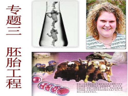 人教版教学课件名校联盟吉林省东辽县第一高级中学高中生物人教版选修3《体内受精和早期胚胎发育》课件-文档