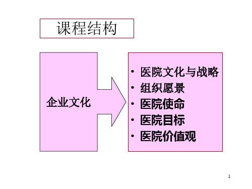 医院企业文化与战略课程bciy