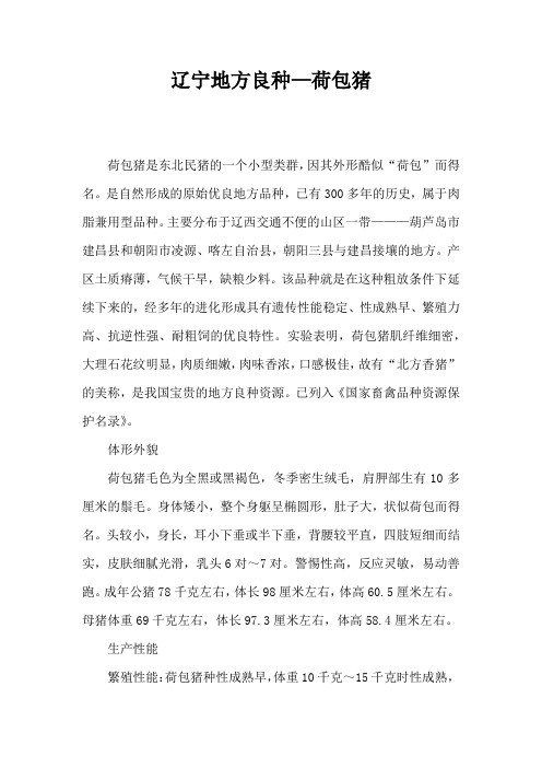 辽宁地方良种荷包猪